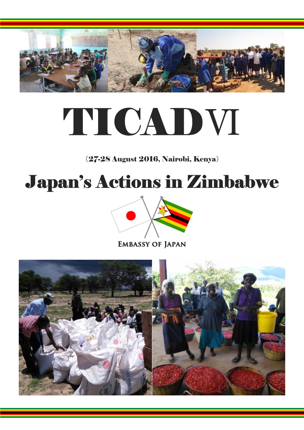 Japan's Actions in Zimbabwe