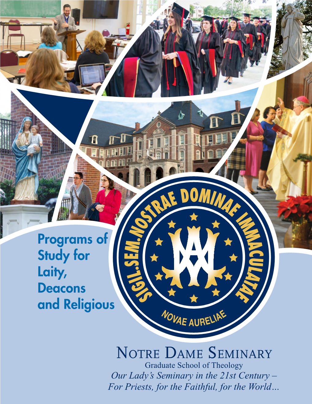 Programs of Study for Laity, Deacons and Religious