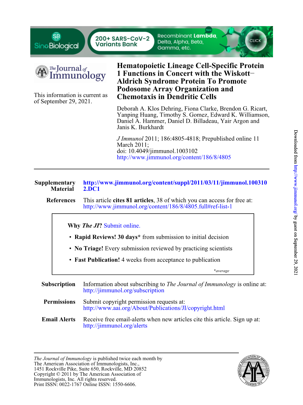 Chemotaxis in Dendritic Cells Podosome Array Organization And