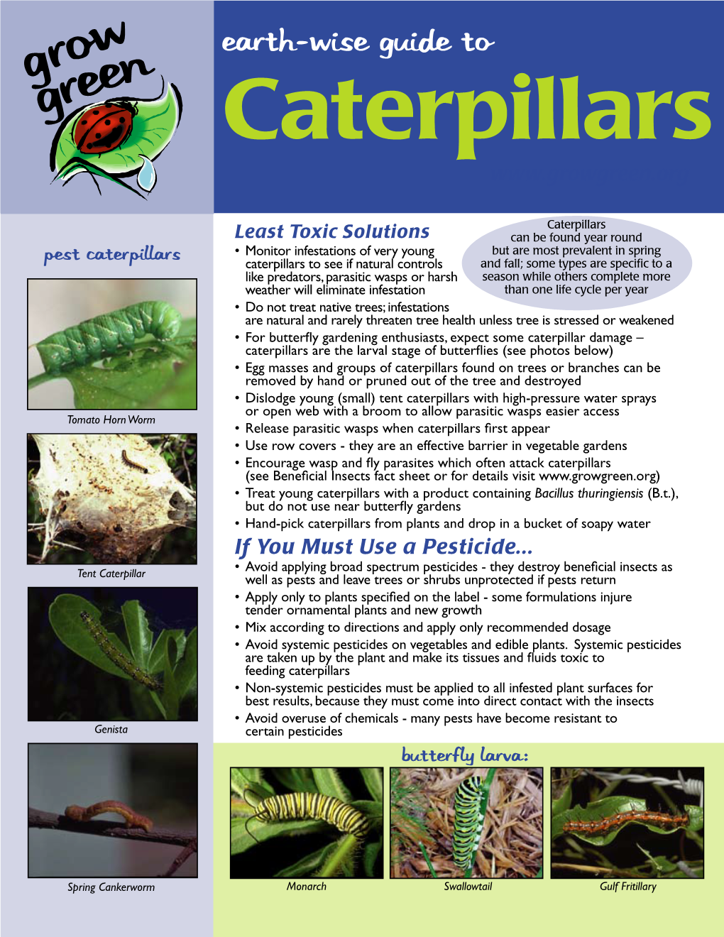 Caterpillars