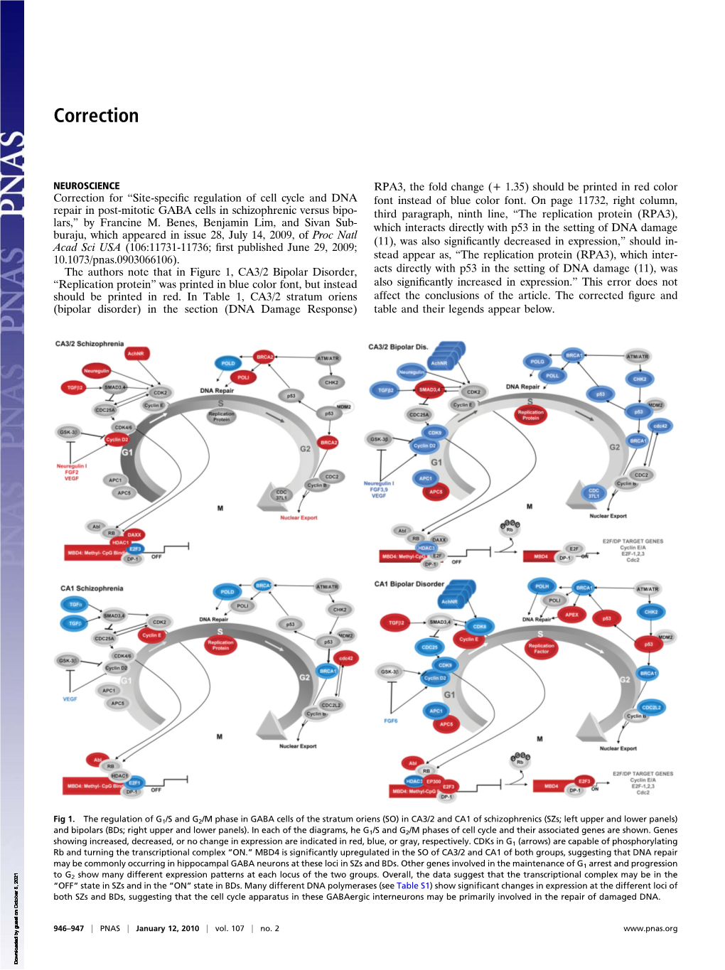 Site-Specific Regulation of Cell Cycle and DNA Repair in Post-Mitotic GABA Cells in Schizophrenic Versus Bipolars