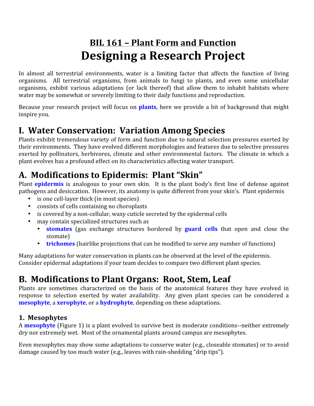 Plant Adaptations