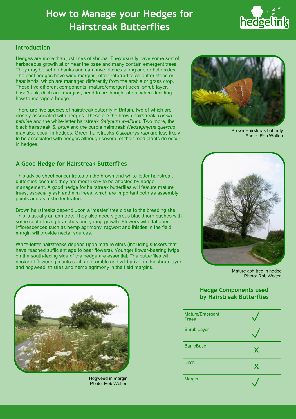 Hairstreak Butterflies & Hedges Leaflet