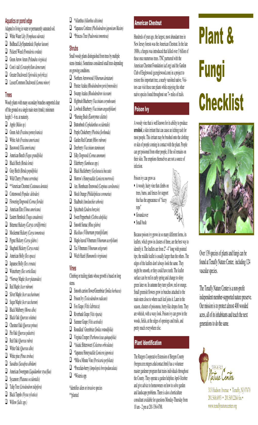 Plant & Fungi Checklist.Pub