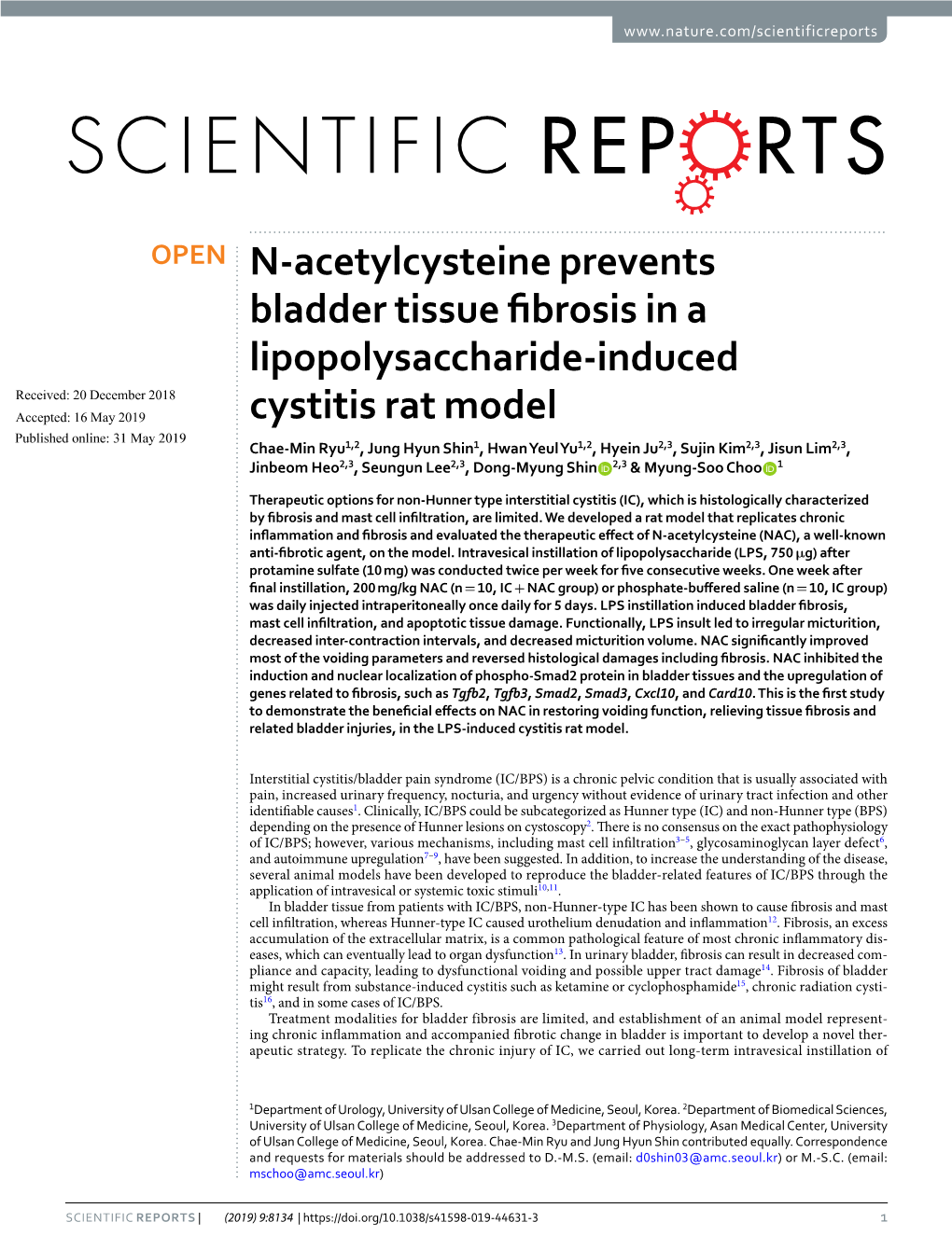 N-Acetylcysteine Prevents Bladder Tissue Fibrosis in A