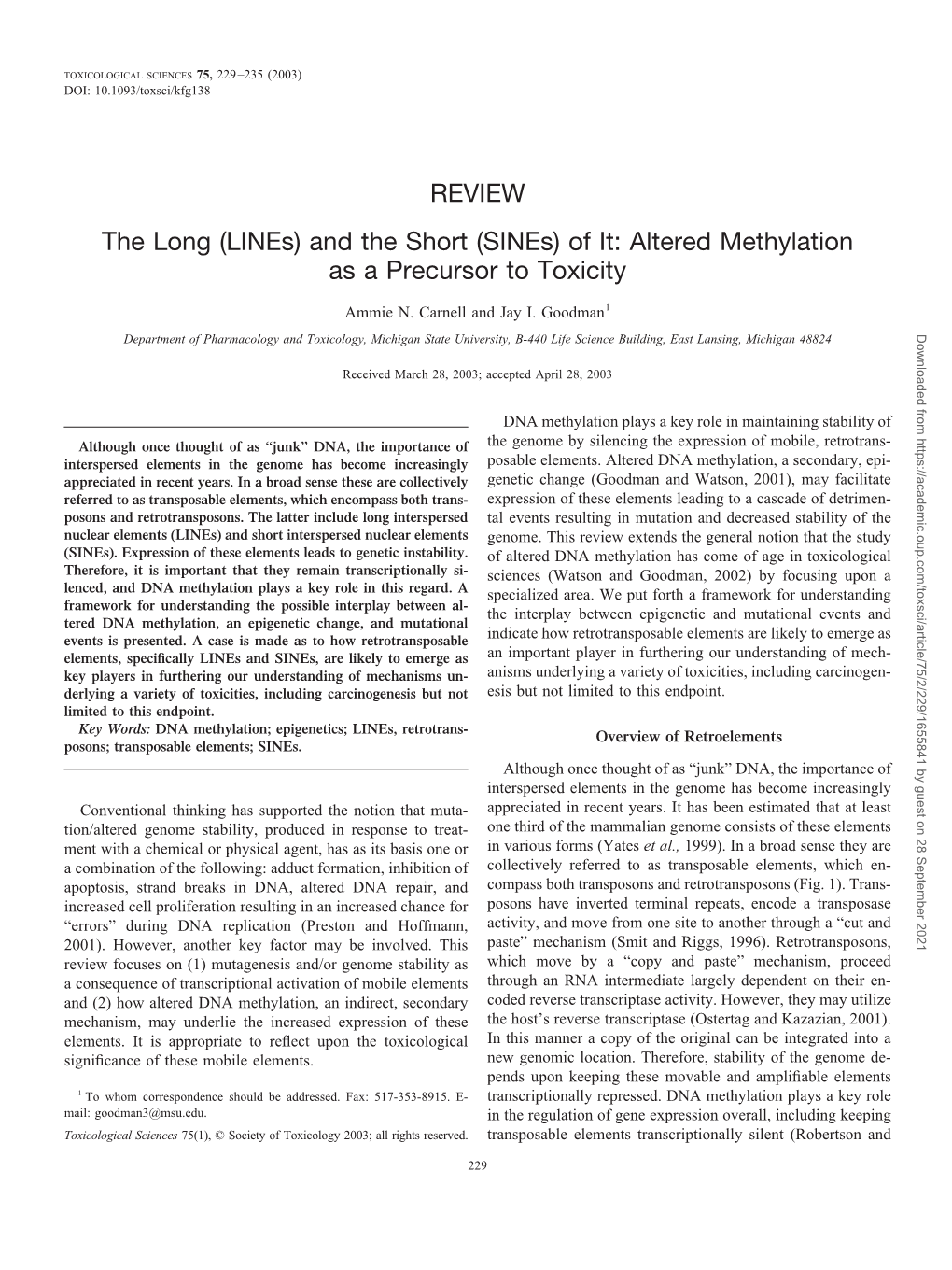 (Lines) and the Short (Sines) of It: Altered Methylation As a Precursor to Toxicity