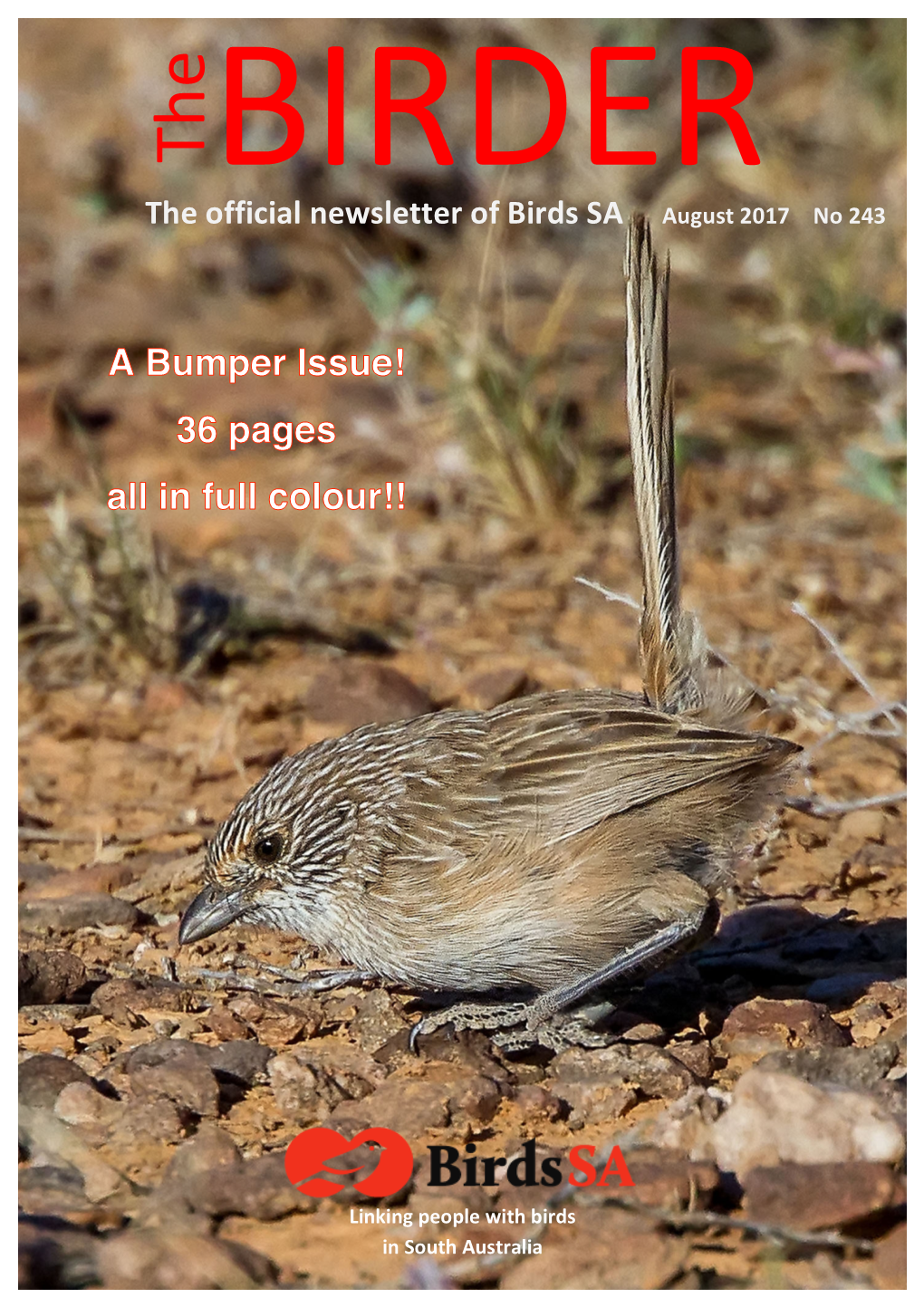 The Birder, August 2017, Part 1