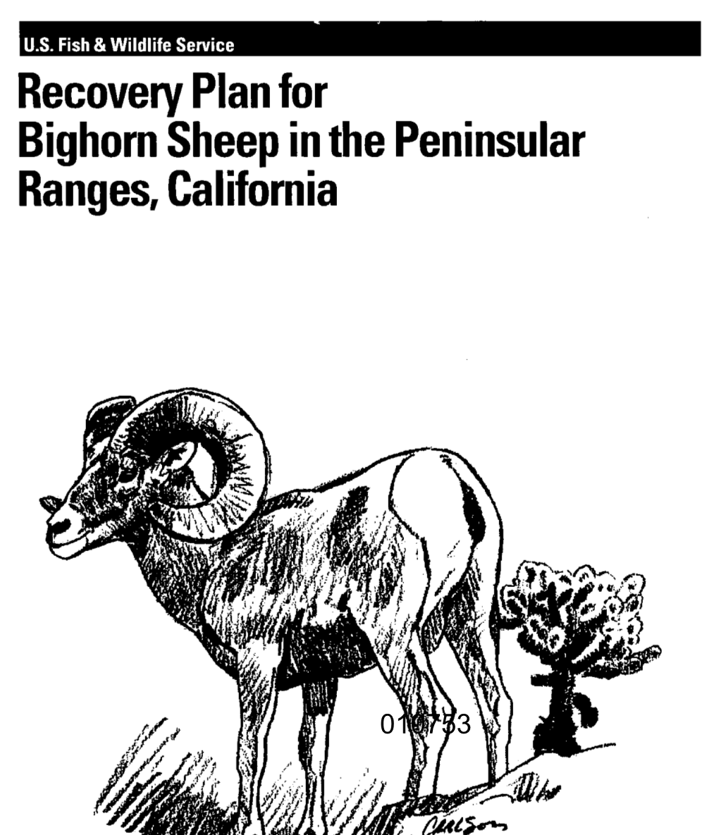 Recovery Plan for Bighorn Sheep in the Peninsular Ranges, California