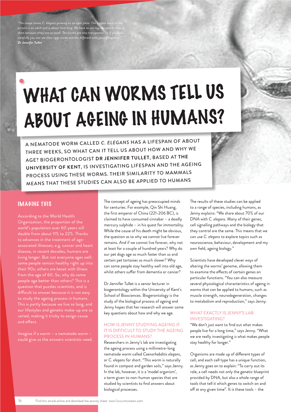 What Can Worms Tell Us About Ageing in Humans?