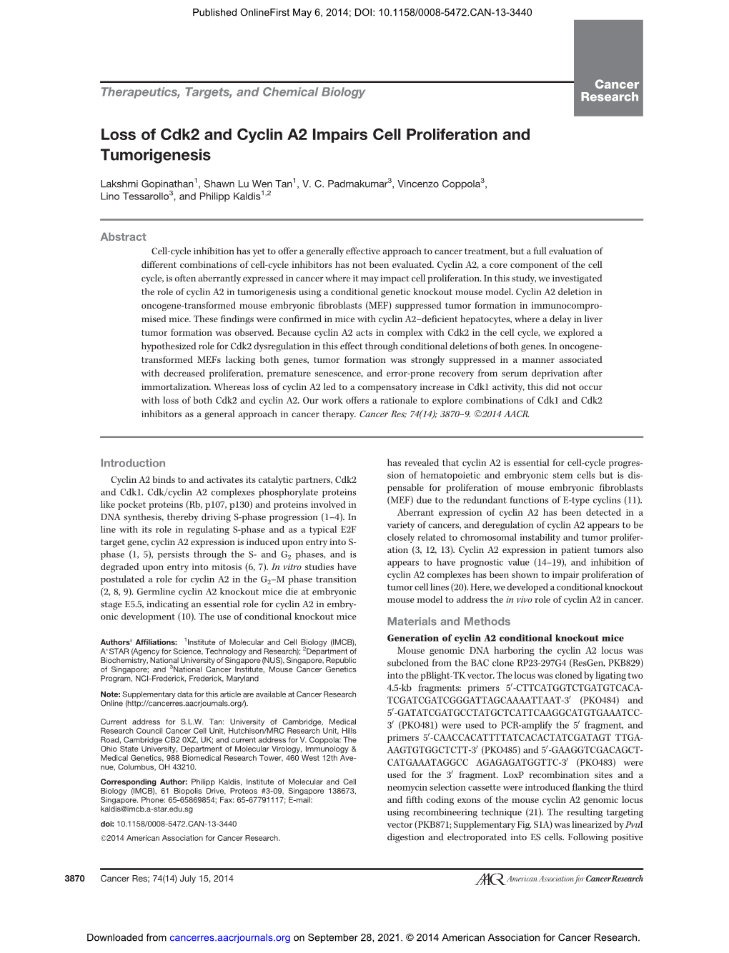 Loss of Cdk2 and Cyclin A2 Impairs Cell Proliferation and Tumorigenesis