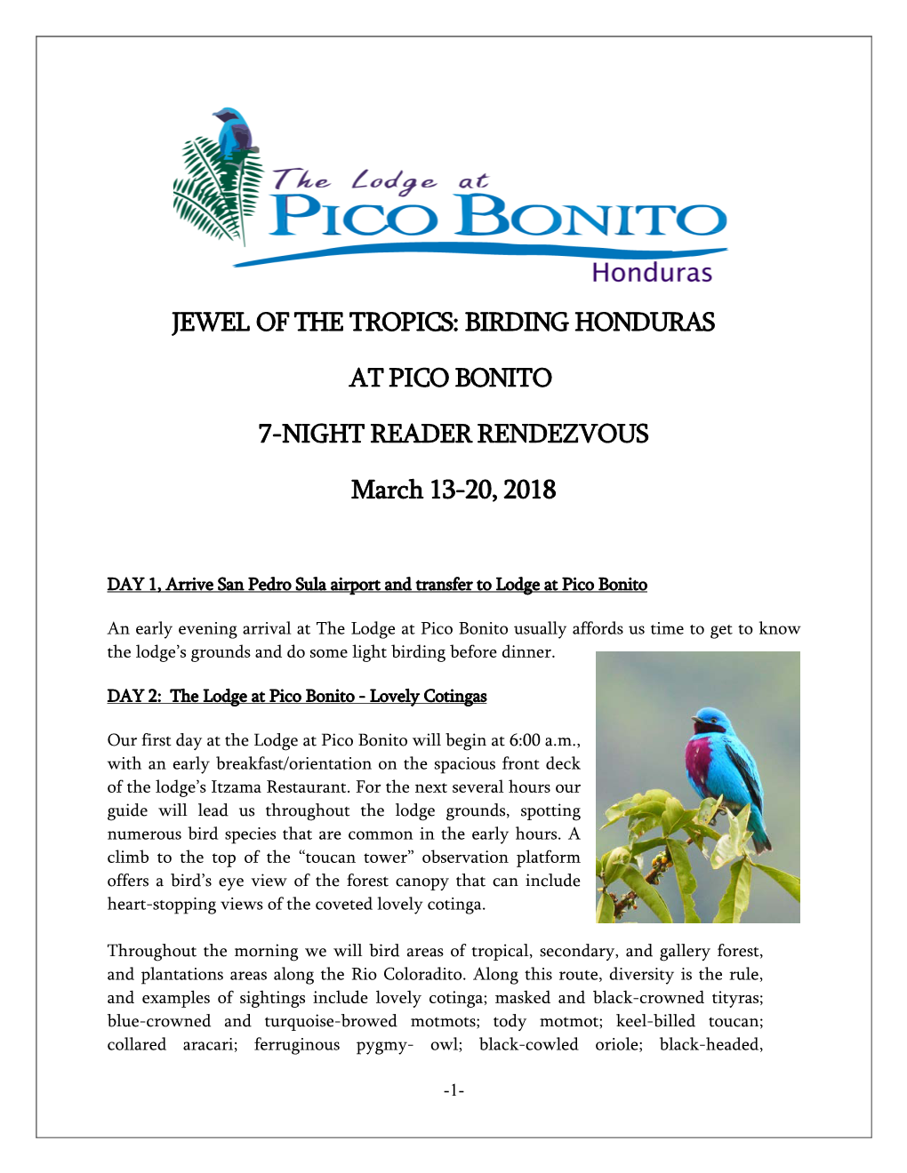 Jewel of the Tropics: Birding Honduras at Pico Bonito 7