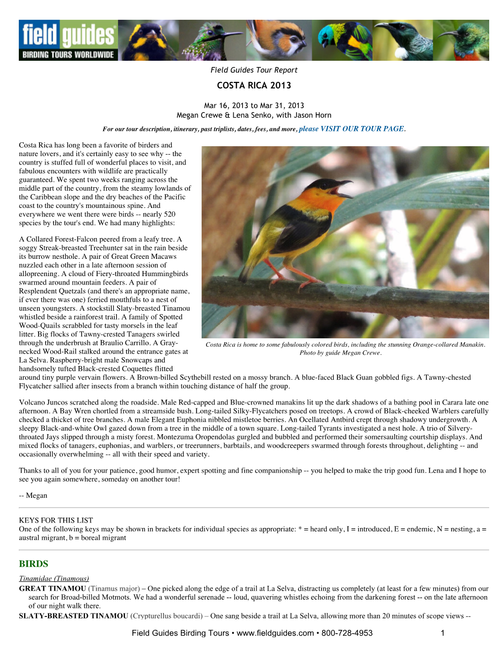 Field Guides Birding Tours: Costa Rica 2013