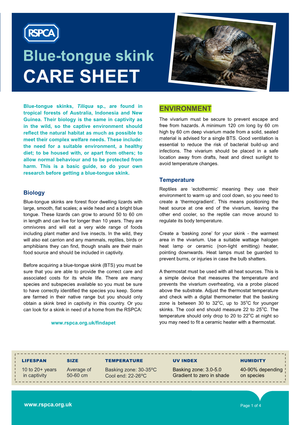 Bluetongue Skink Care Sheet