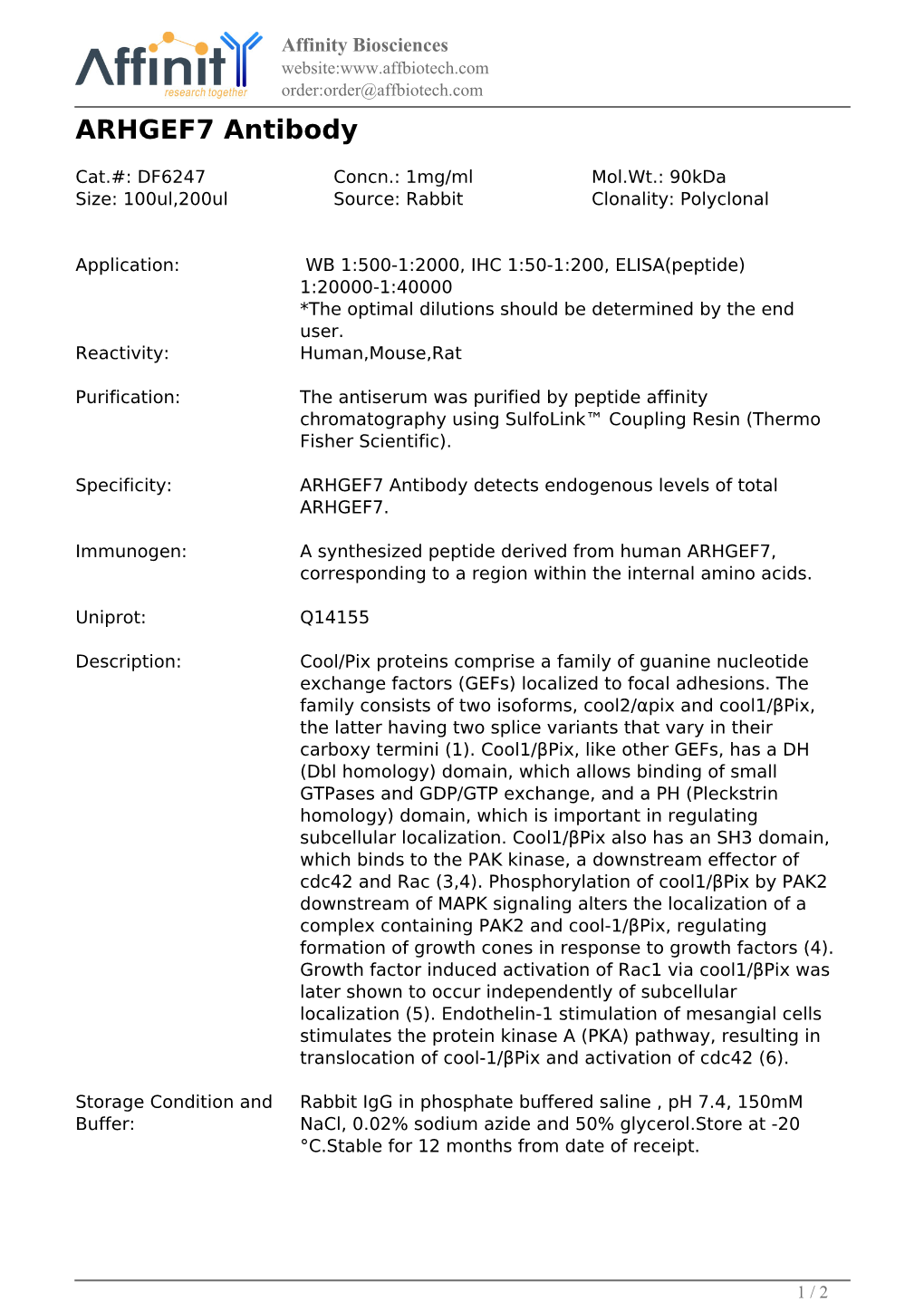 DF6247-ARHGEF7 Antibody