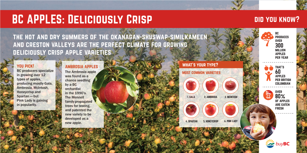 BC APPLES: Deliciously Crisp Did You Know?