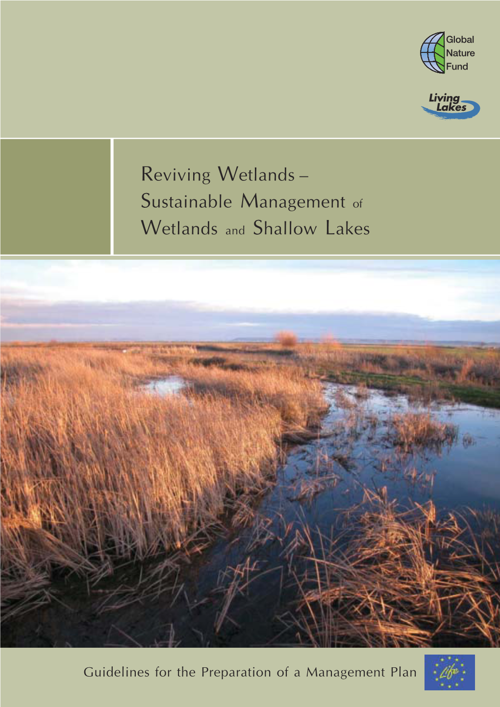 Sustainable Management of Wetlands and Shallow Lakes