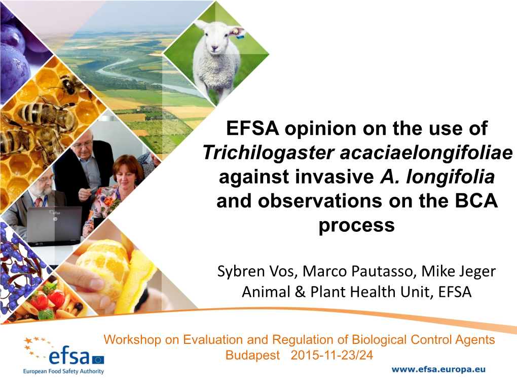 EFSA Opinion on the Use of Trichilogaster Acaciaelongifoliae Against Invasive A