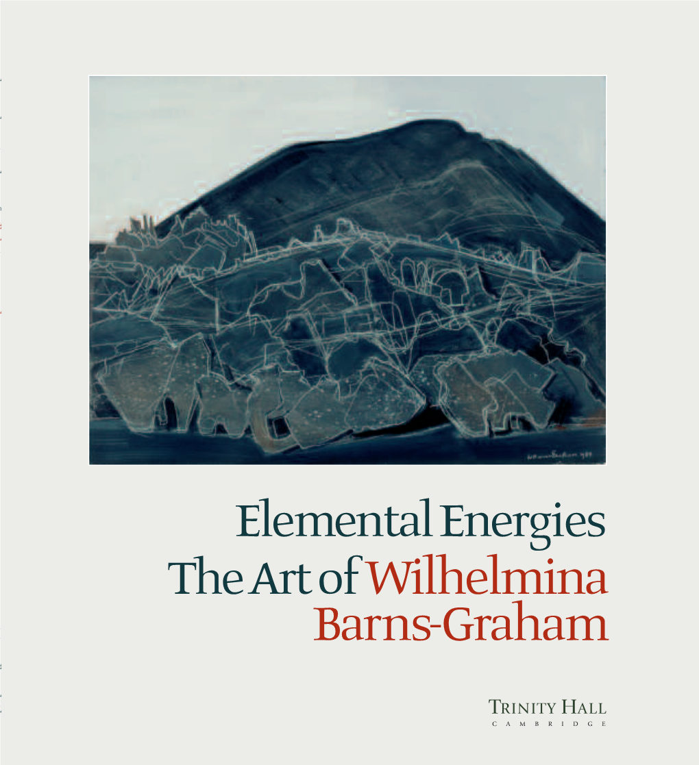 Theartofwilhelmina Barns-Graham
