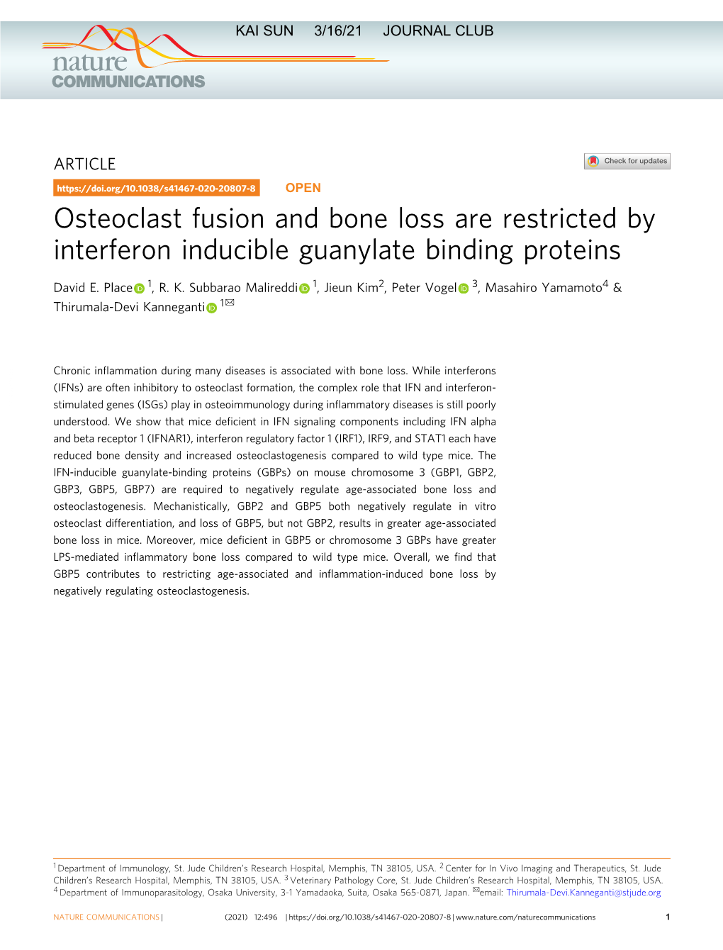 Osteoclast Fusion and Bone Loss Are Restricted by Interferon Inducible Guanylate Binding Proteins