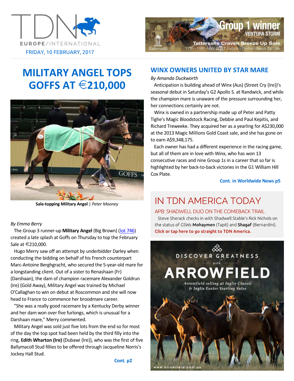 Military Angel Tops Goffs at I210,000 Cont