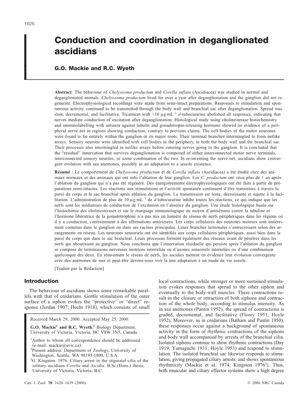 Conduction and Coordination in Deganglionated Ascidians