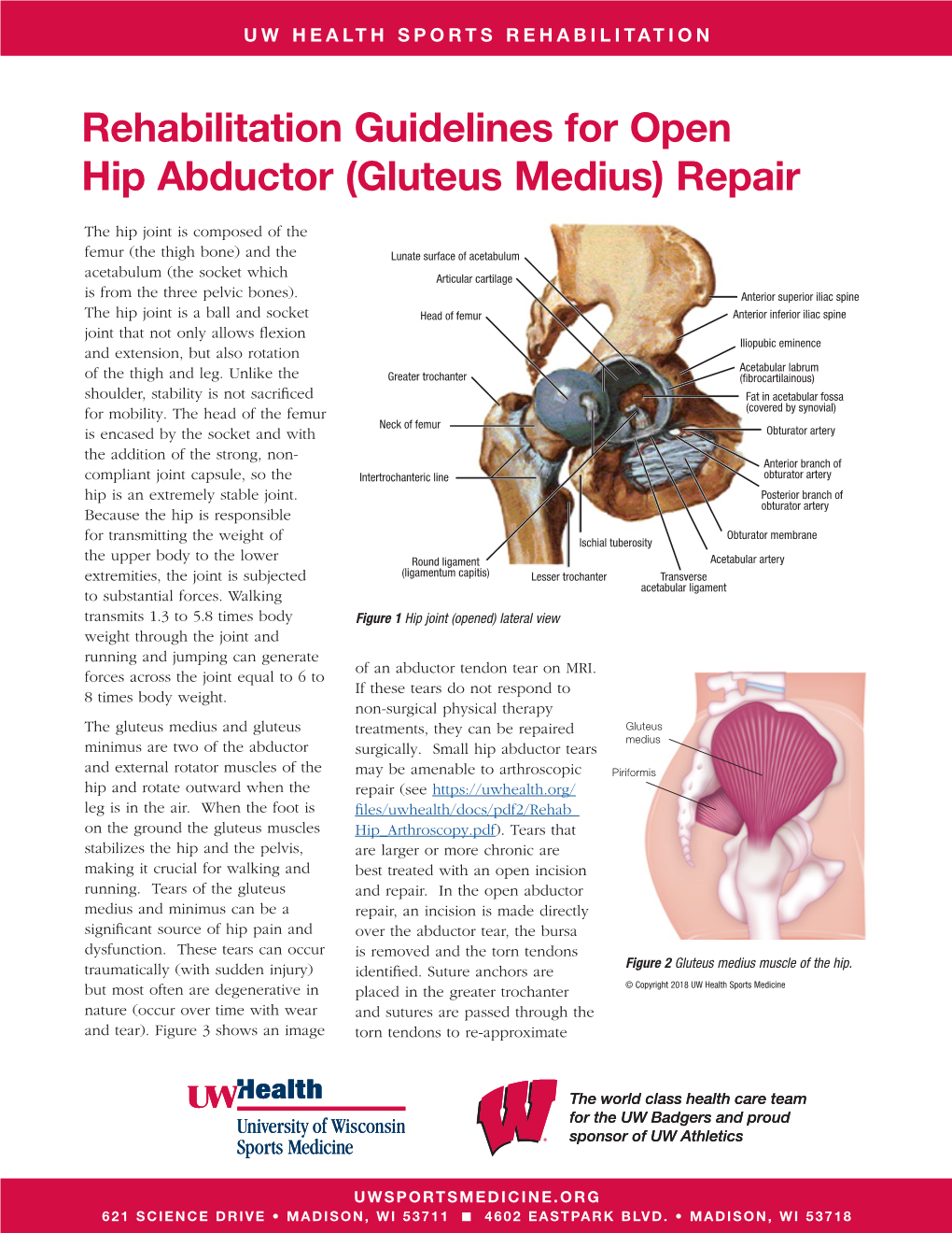 Gluteus Medius) Repair