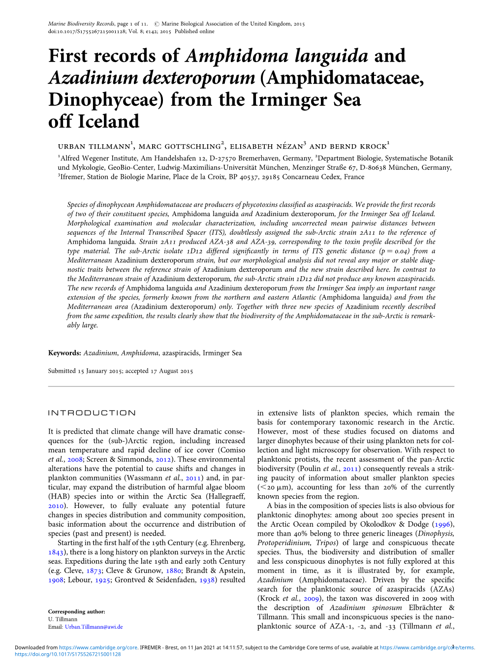 First Records of Amphidoma Languida and Azadinium