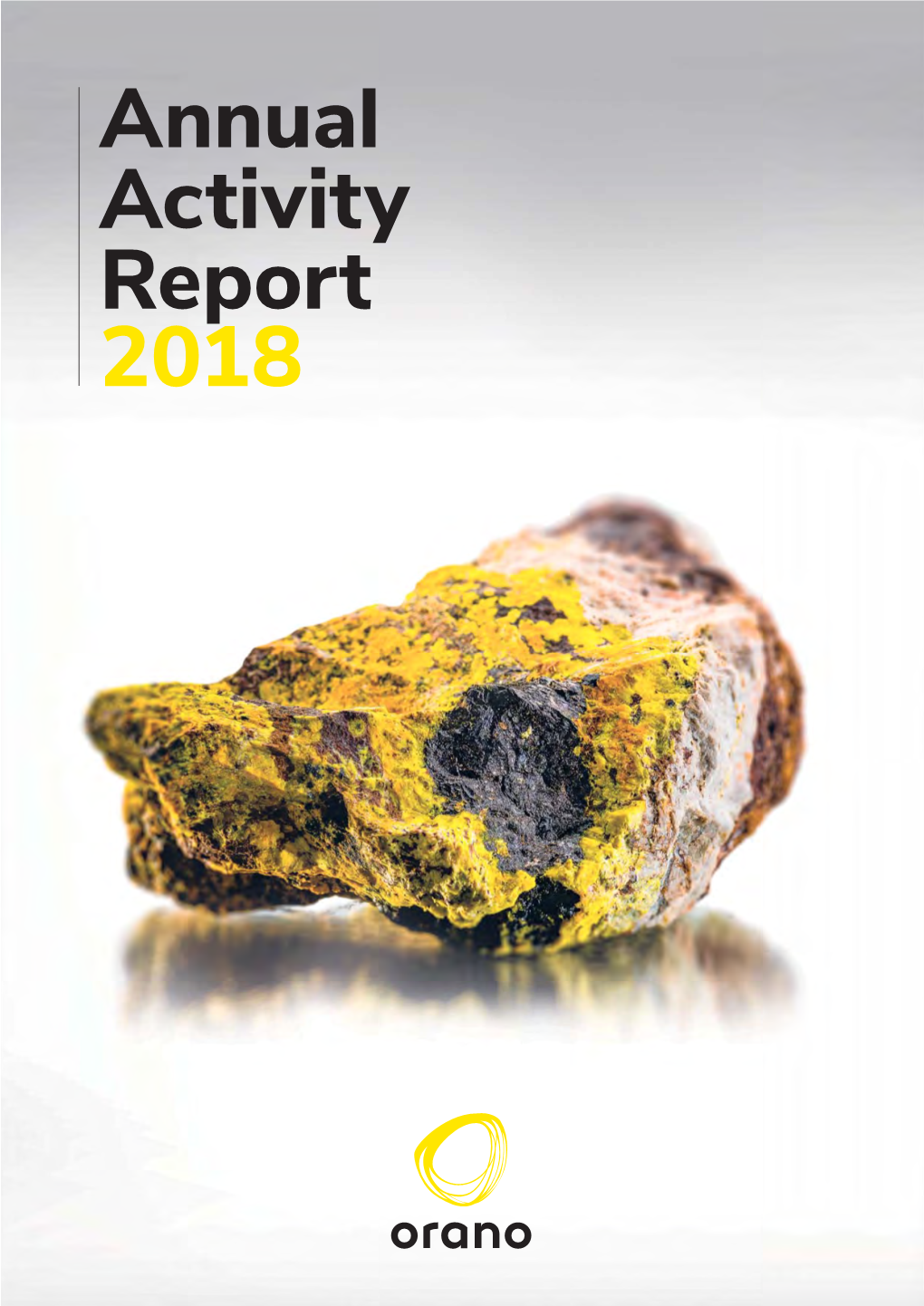 Annual Activity Report 2018 Summary