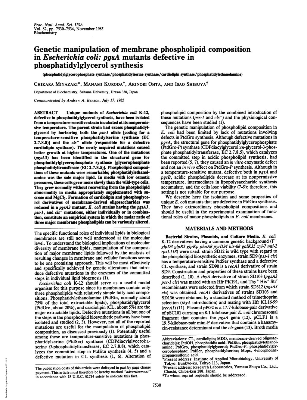 Phosphatidylglycerol Synthesis