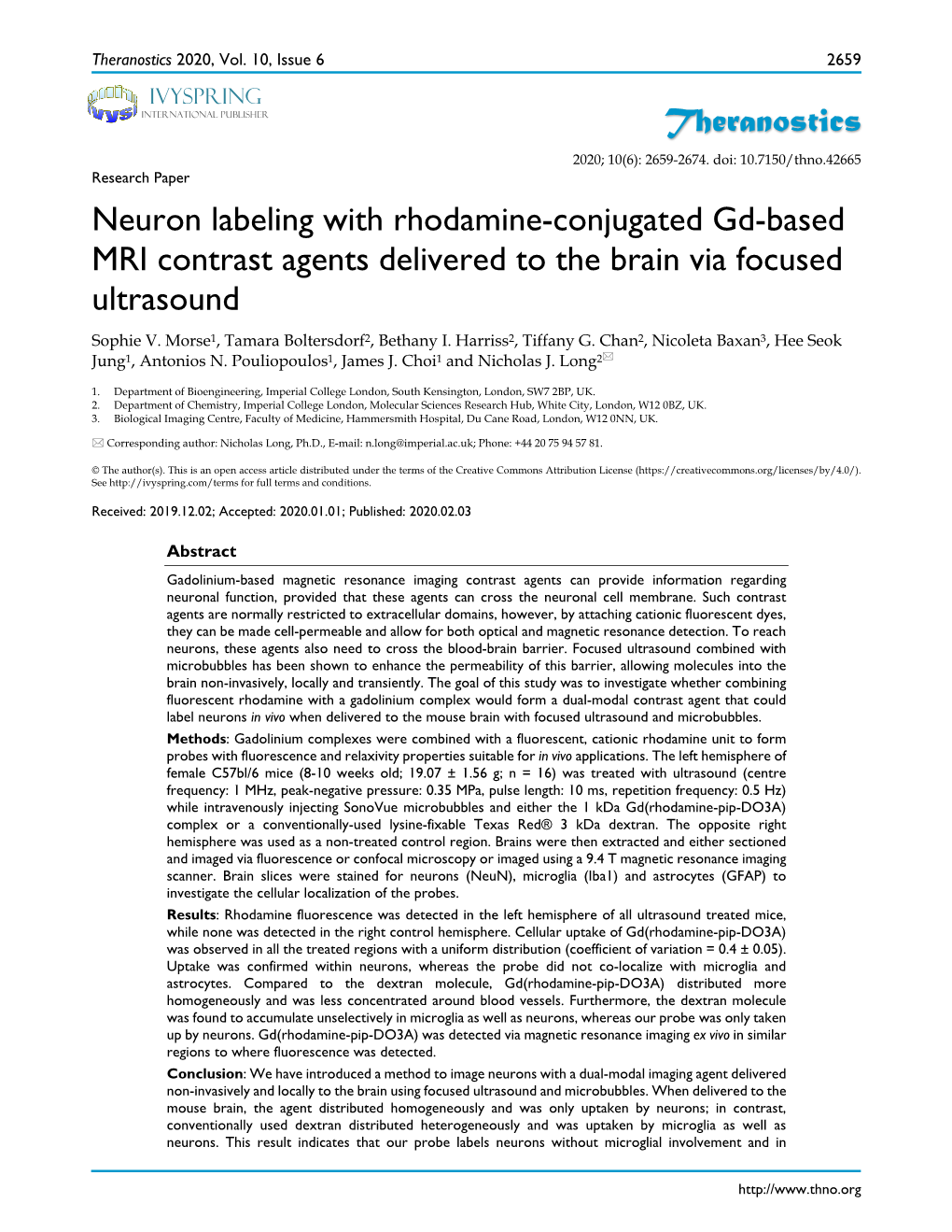 Theranostics Neuron Labeling with Rhodamine-Conjugated Gd-Based