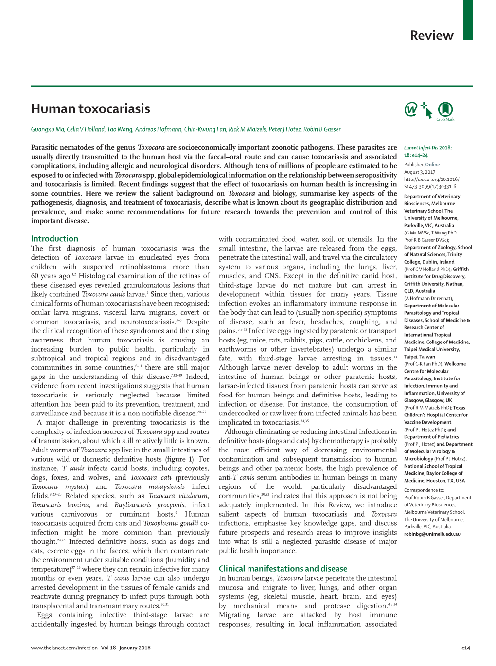 Review Human Toxocariasis