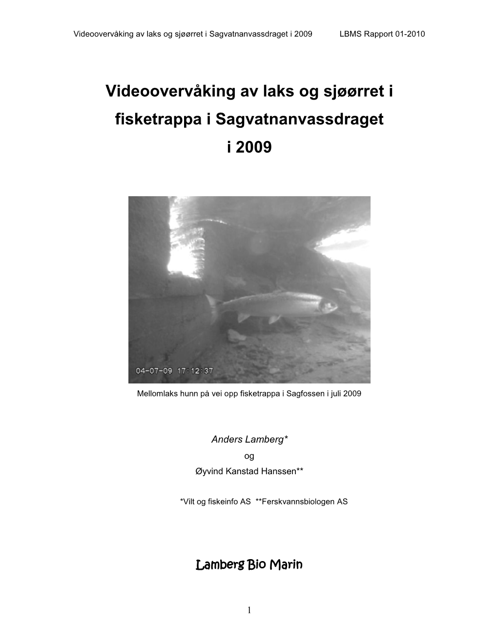 Videoovervåking Av Laks Og Sjøørret I Fisketrappa I Sagvatnanvassdraget I 2009