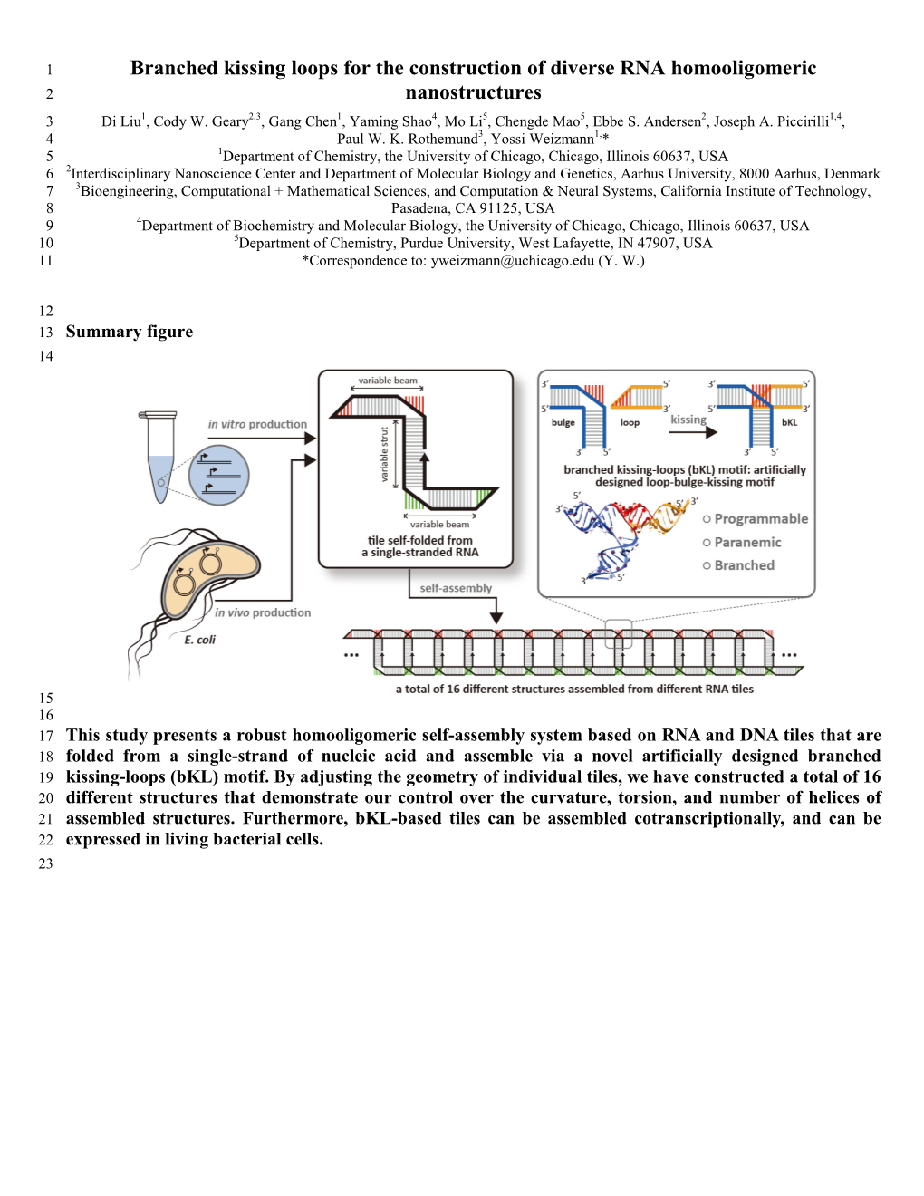 Branched Kissing Loops for the Construction of Diverse RNA Homooligomeric 2 Nanostructures 3 Di Liu1, Cody W