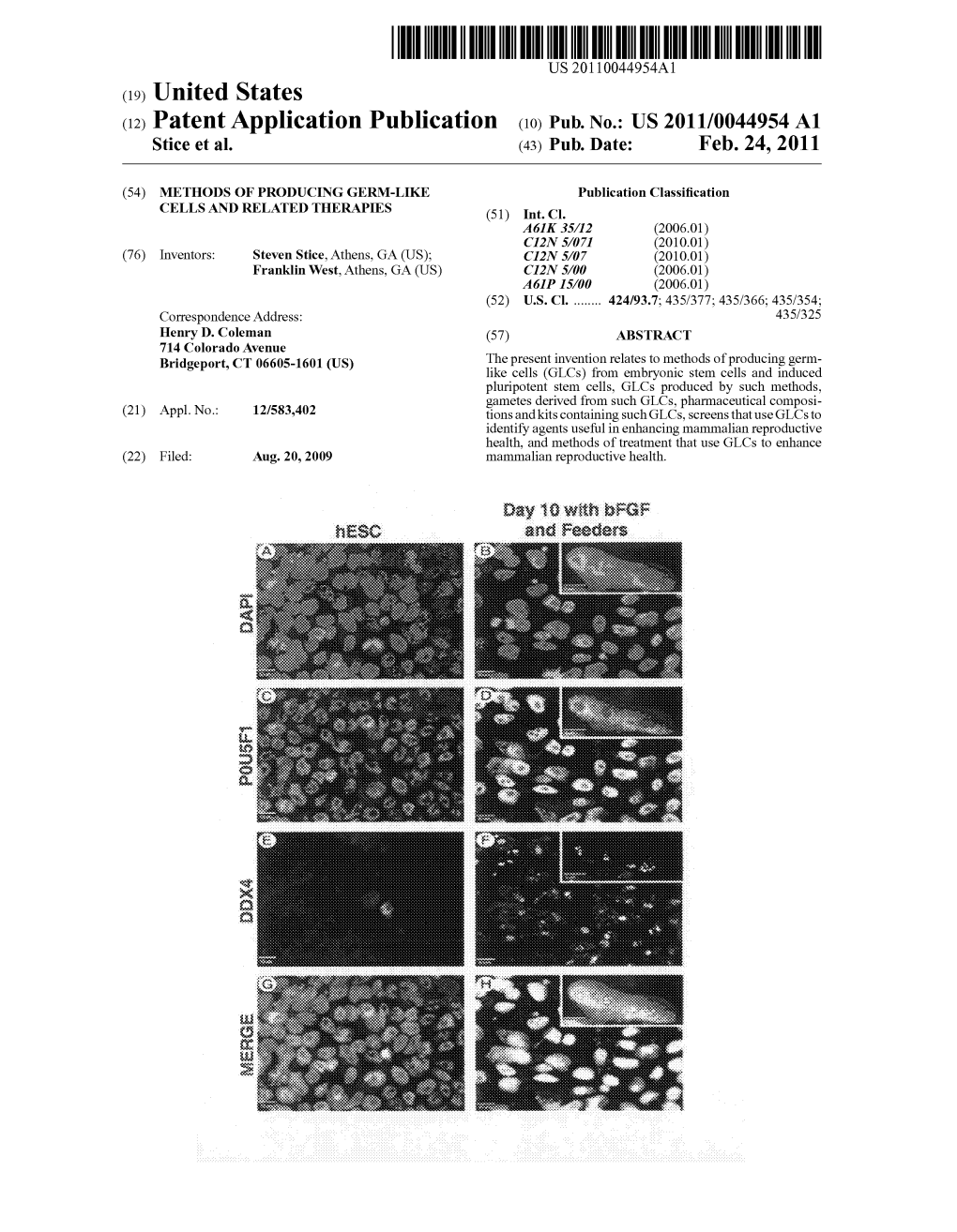 (12) Patent Application Publication (10) Pub. No.: US 2011/0044954 A1 Stice Et Al