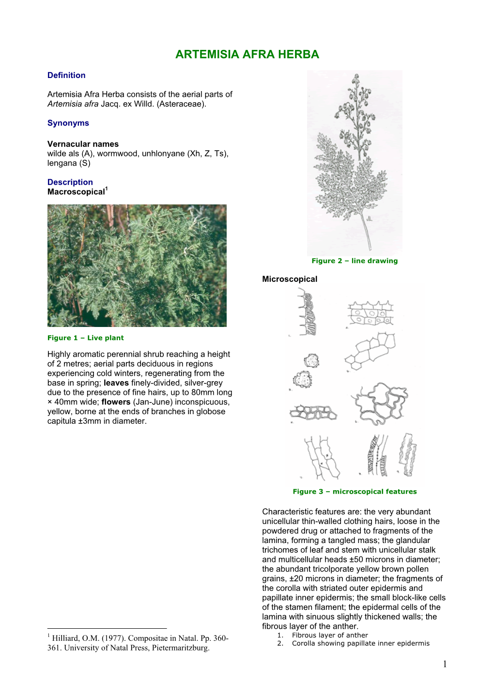 Artemisia Afra Herba