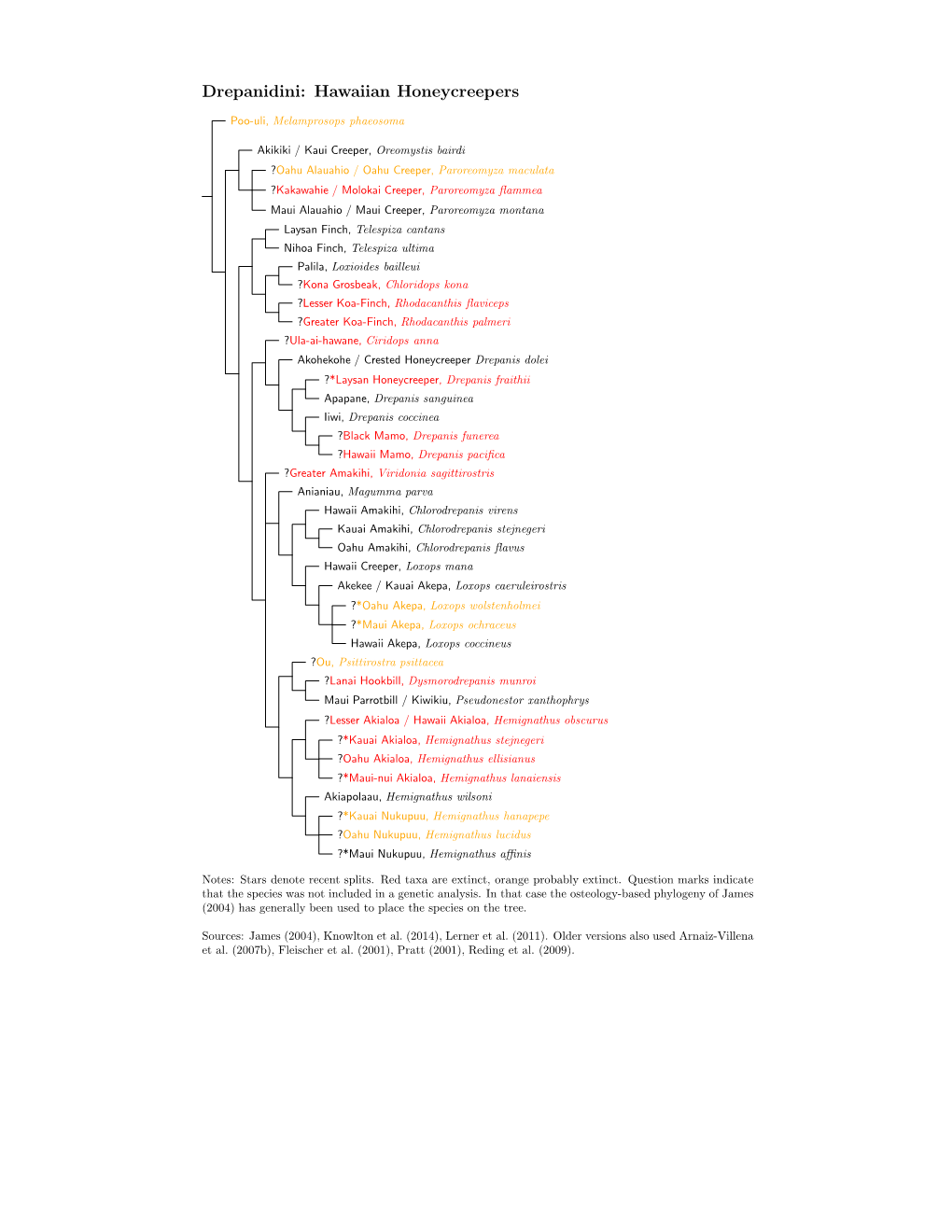 Drepanidini Species Tree