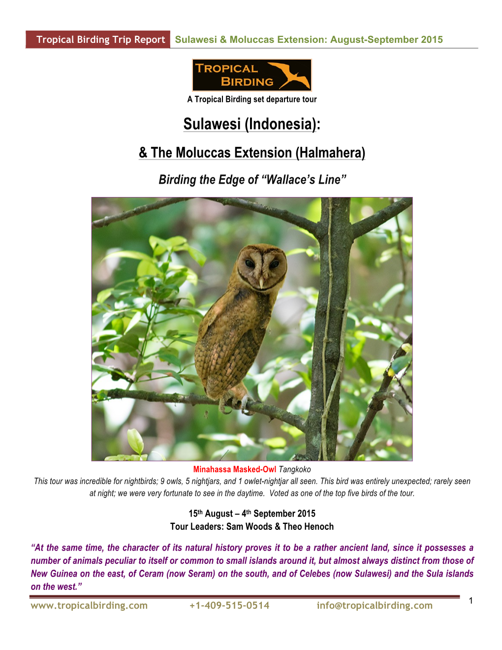 Sulawesi & Moluccas Extension: August-September 2015