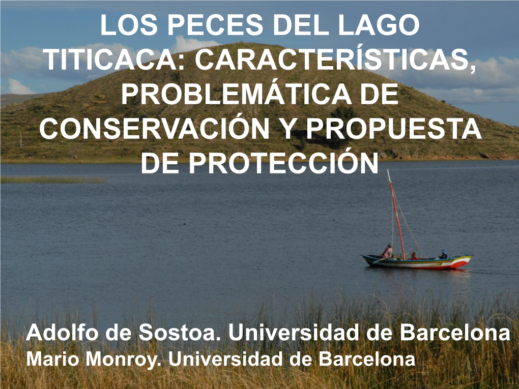 Los Peces Del Lago Titicaca: Características, Problemática De Conservación Y Propuesta De Protección
