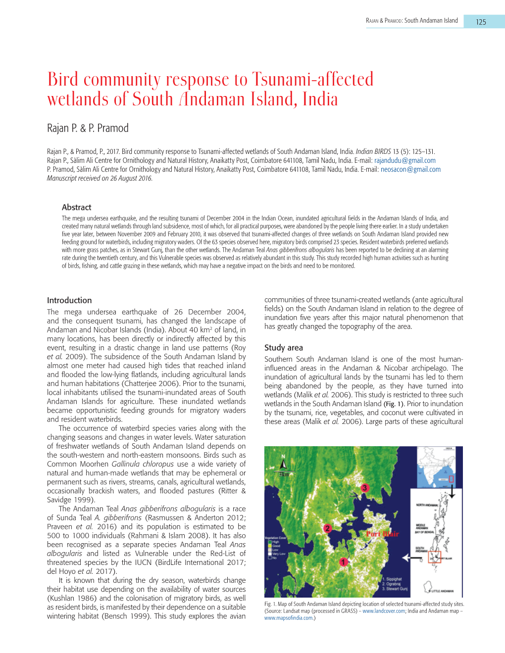 Bird Community Response to Tsunami-Affected Wetlands of South Andaman Island, India