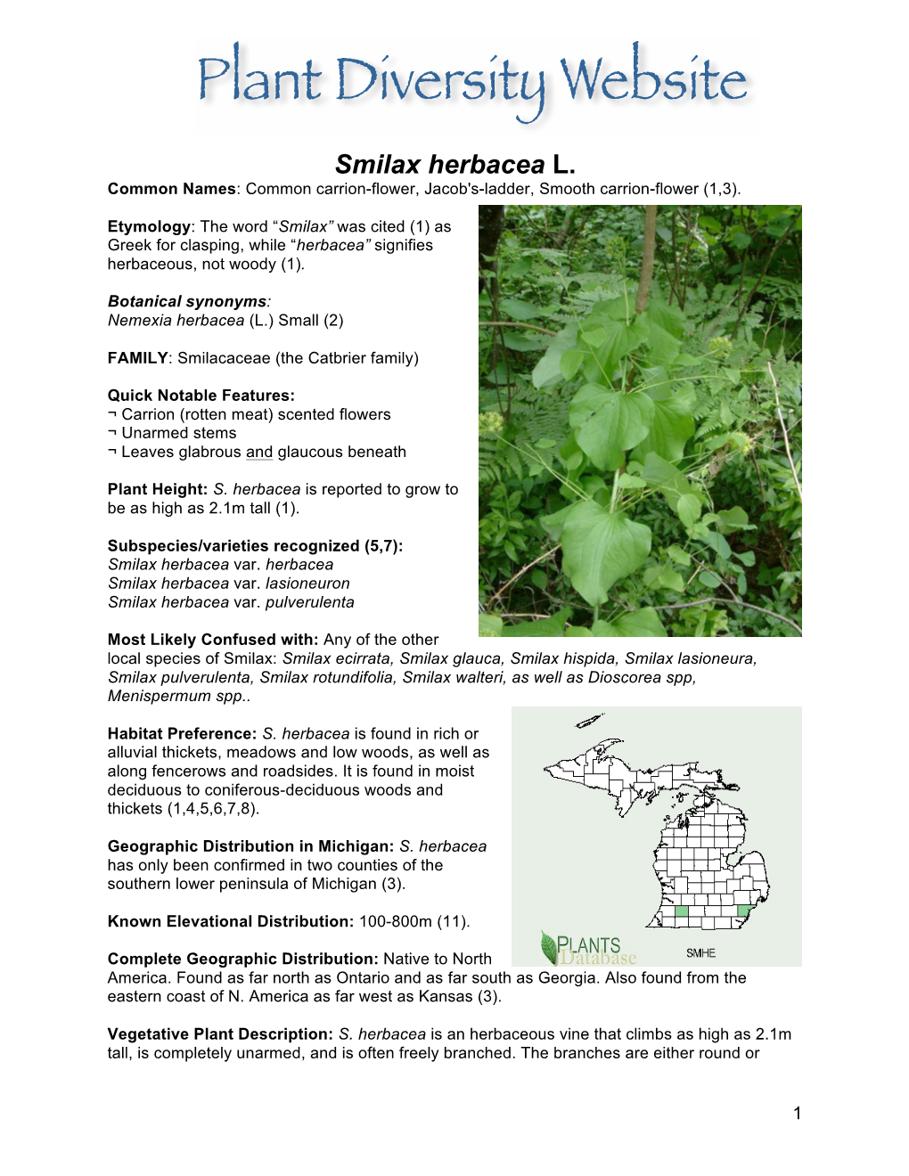 Smilax Herbacea L. Common Names: Common Carrion-Flower, Jacob's-Ladder, Smooth Carrion-Flower (1,3)