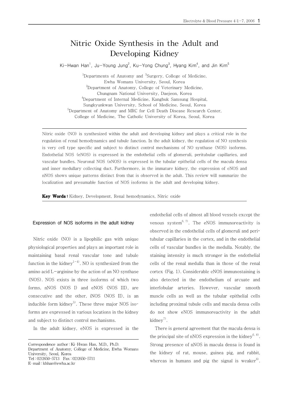 Nitric Oxide Synthesis in the Adult and Developing Kidney