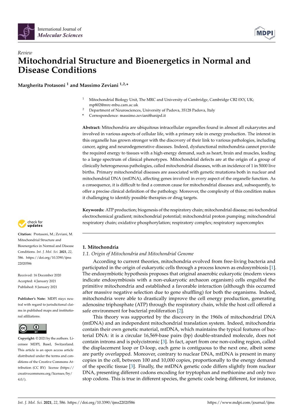 Mitochondrial Structure and Bioenergetics in Normal and Disease Conditions