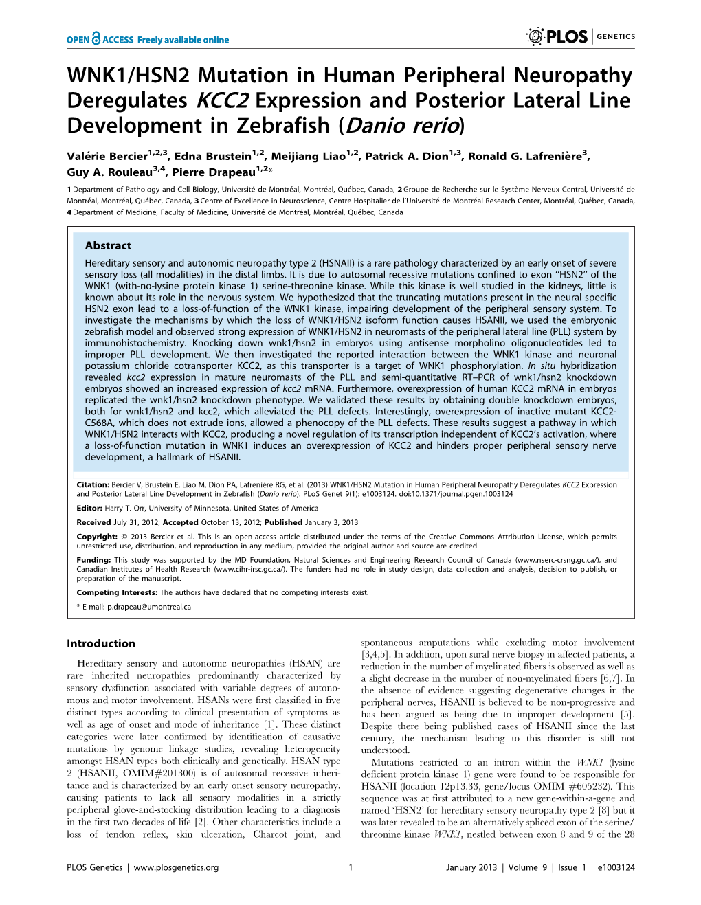 WNK1/HSN2 Mutation in Human Peripheral Neuropathy Deregulates KCC2 Expression and Posterior Lateral Line Development in Zebrafish (Danio Rerio)