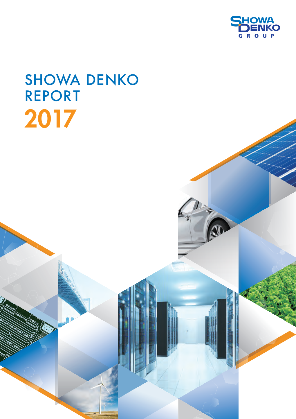 Showa Denko Report 2017
