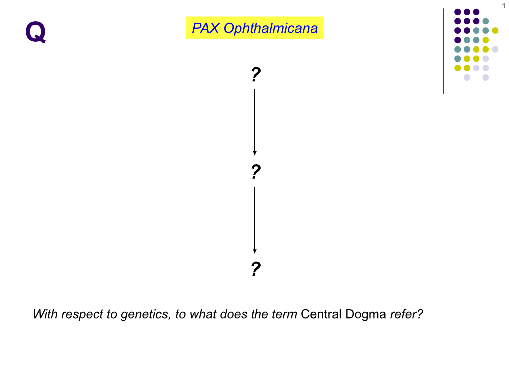 PAX Ophthalmicana ?