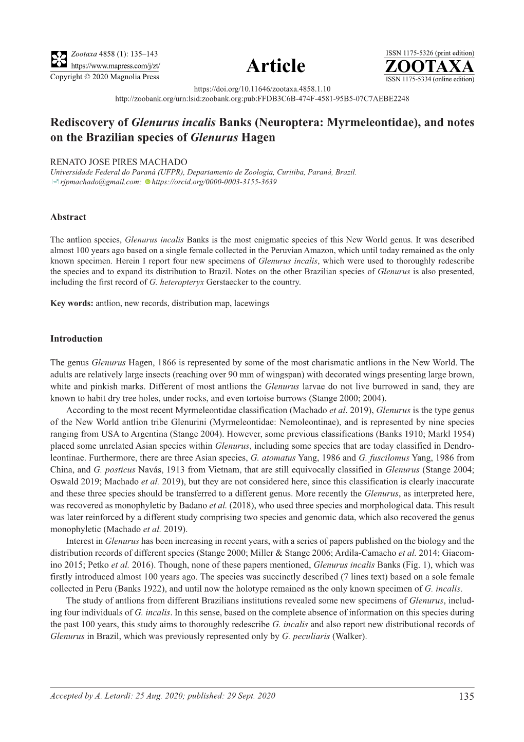 Rediscovery of Glenurus Incalis Banks (Neuroptera: Myrmeleontidae), and Notes on the Brazilian Species of Glenurus Hagen