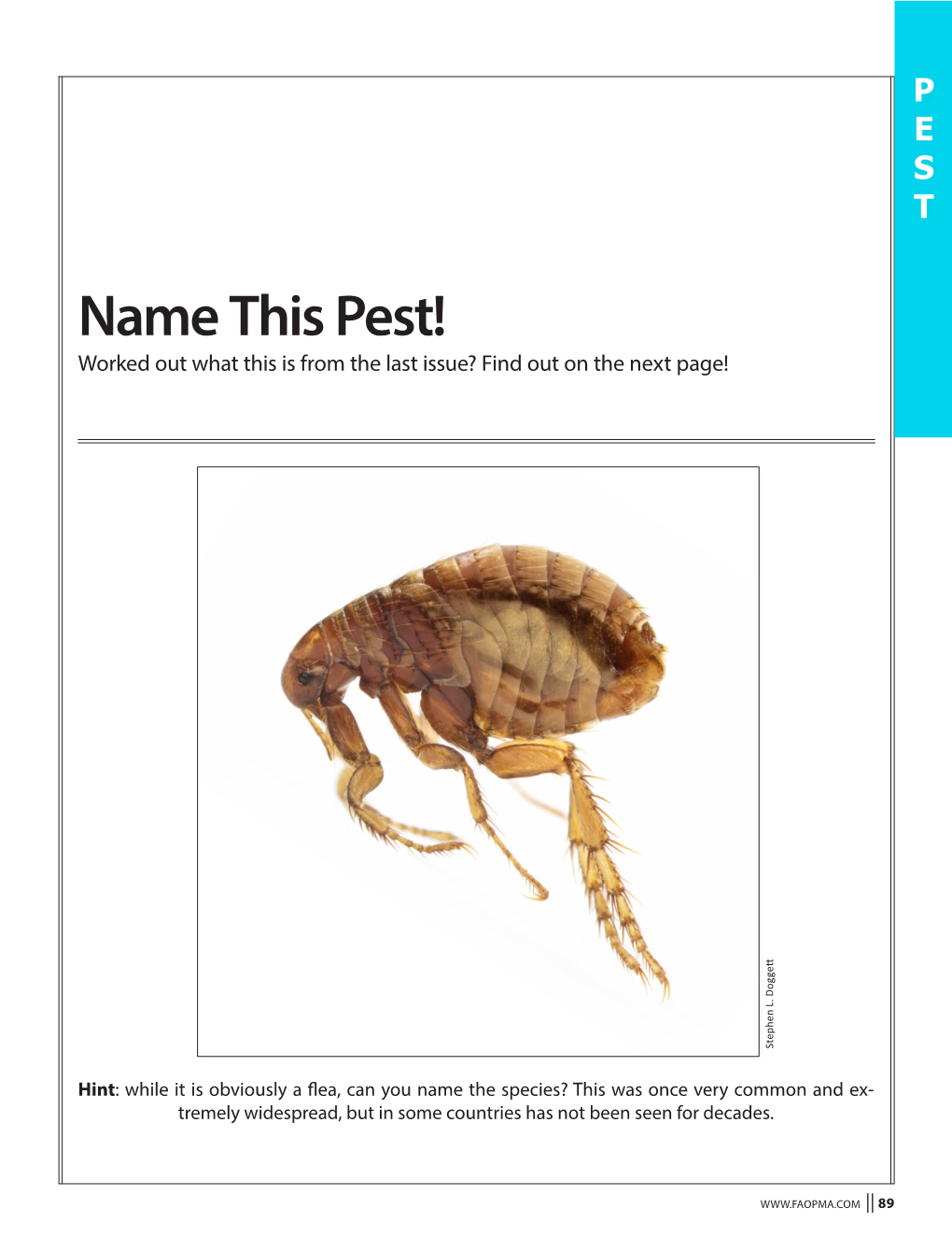 Last Issue Name This Pest