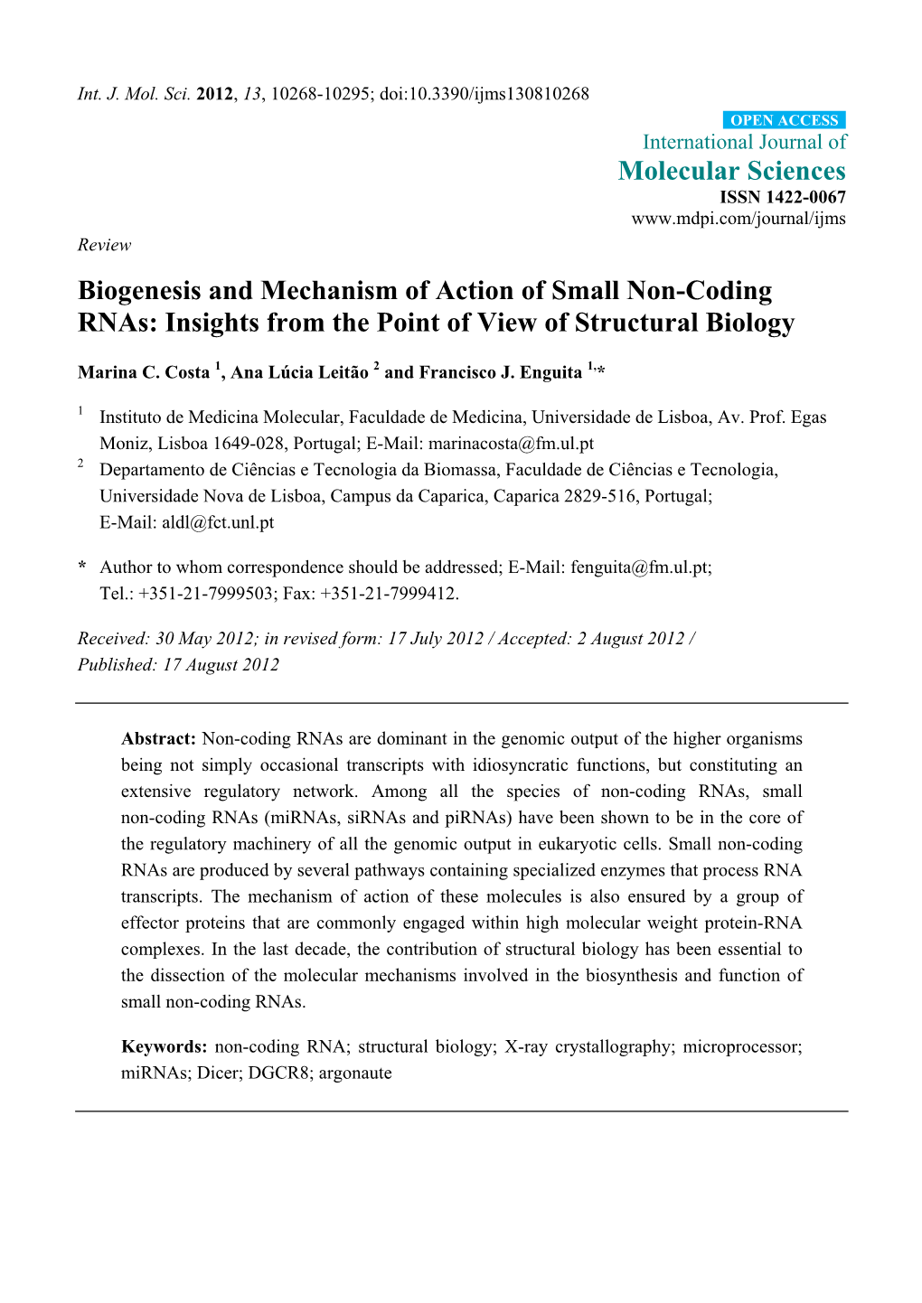 Biogenesis and Mechanism of Action of Small Non-Coding Rnas: Insights from the Point of View of Structural Biology