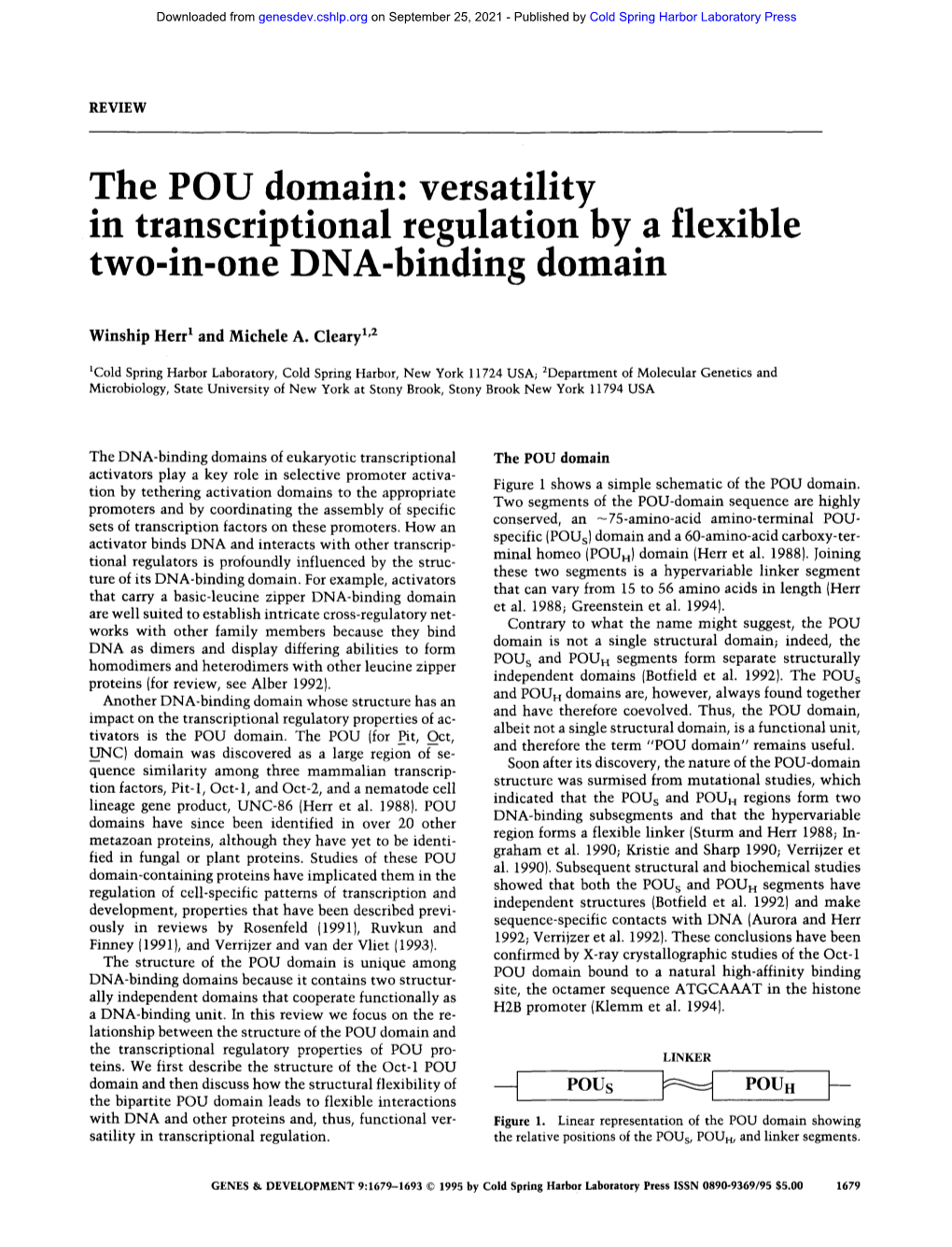 The POU Domain: Versatility in Transcriptional Regulation by a Flexible Two-In-One DNA-Binding Domain