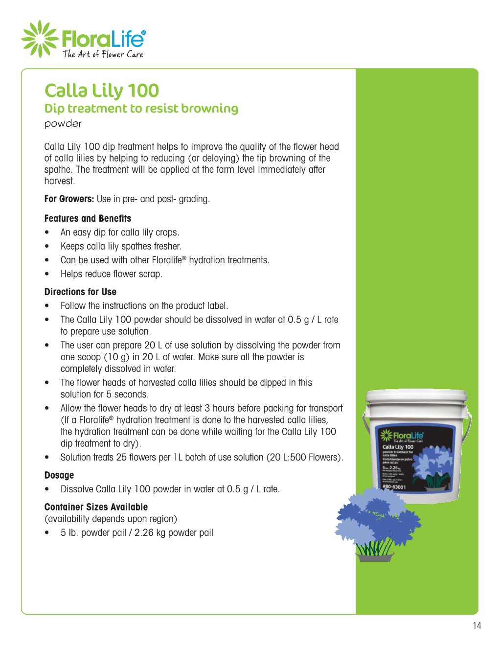 Calla Lily100